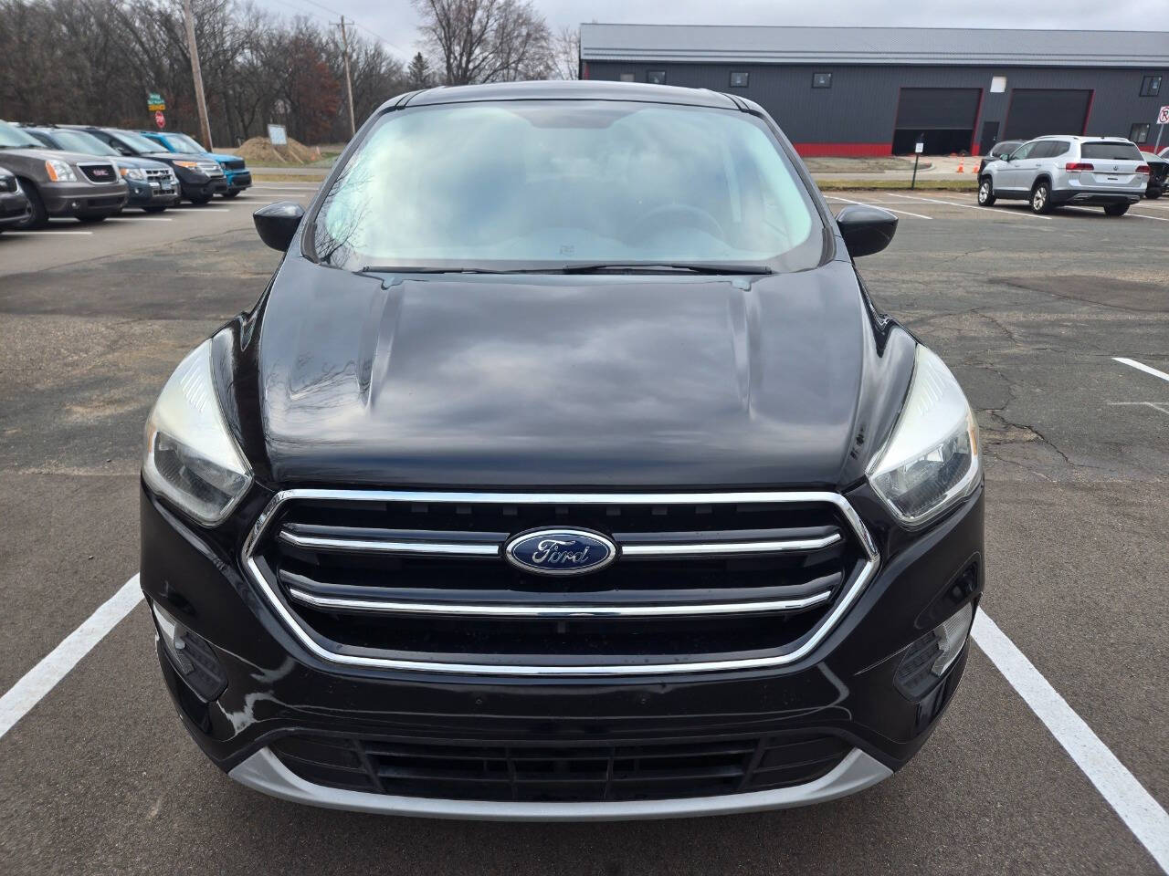 2017 Ford Escape for sale at Dedicated Auto Sales Inc in Elk River, MN