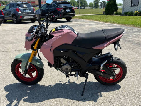2023 Kawasaki Z125 Pro