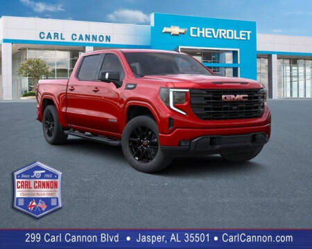 2023 GMC Sierra 1500 for sale at Carl Cannon in Jasper AL