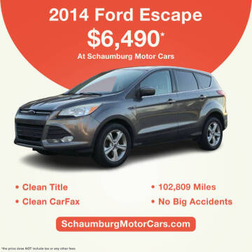 2014 Ford Escape for sale at Schaumburg Motor Cars in Schaumburg IL