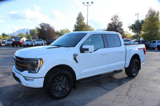2023 Ford F-150 Tremor's photo
