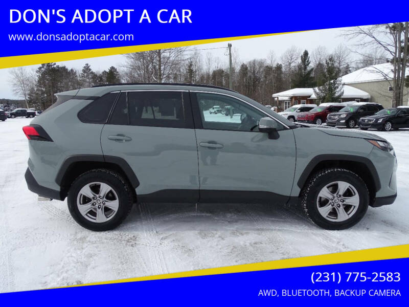 2022 Toyota RAV4 for sale at DON'S ADOPT A CAR in Cadillac MI