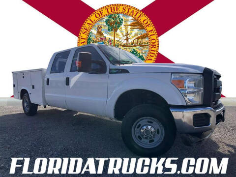 2015 Ford F-250 Super Duty for sale at FLORIDA TRUCKS in Deland FL