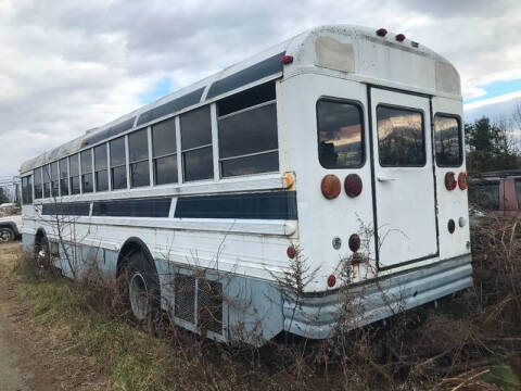 1987 International Blue Bird