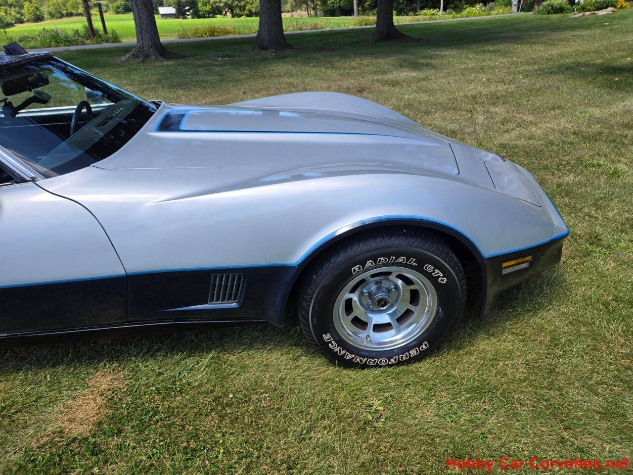 1981 Chevrolet Corvette 16