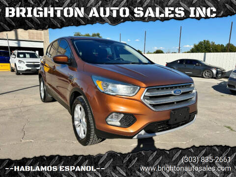 2017 Ford Escape for sale at BRIGHTON AUTO SALES INC in Brighton CO