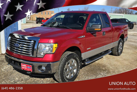 2011 Ford F-150 for sale at Union Auto in Union IA