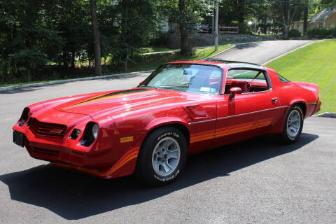 1981 Chevrolet Camaro for sale at Memory Auto Sales-Classic Cars Cafe in Putnam Valley NY