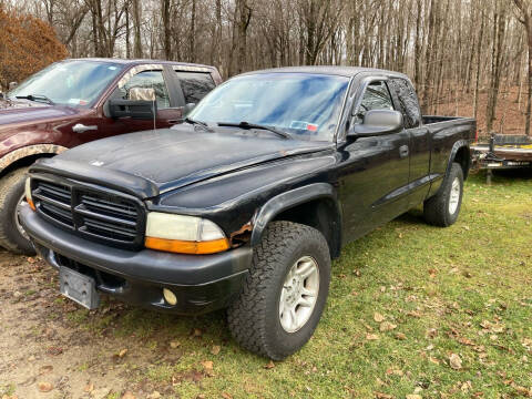 2001 Dodge Dakota for sale at Marcus Motors in Kingston NY