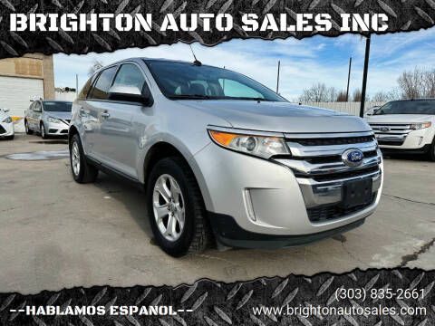 2014 Ford Edge for sale at BRIGHTON AUTO SALES INC in Brighton CO