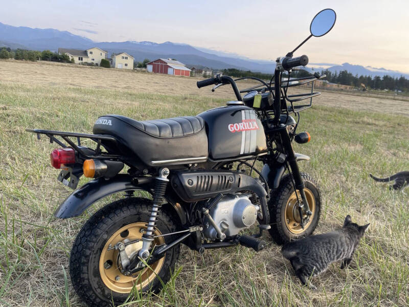 1983 Honda Gorilla