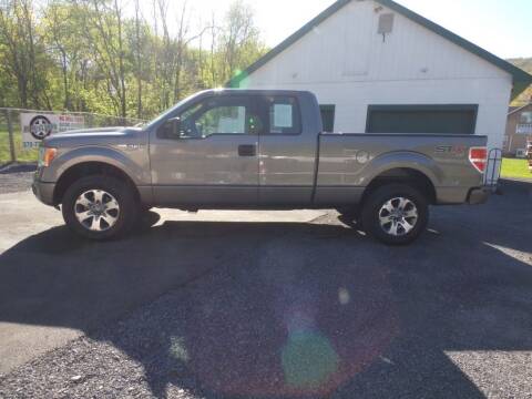 2014 Ford F-150 for sale at RJ McGlynn Auto Exchange in West Nanticoke PA