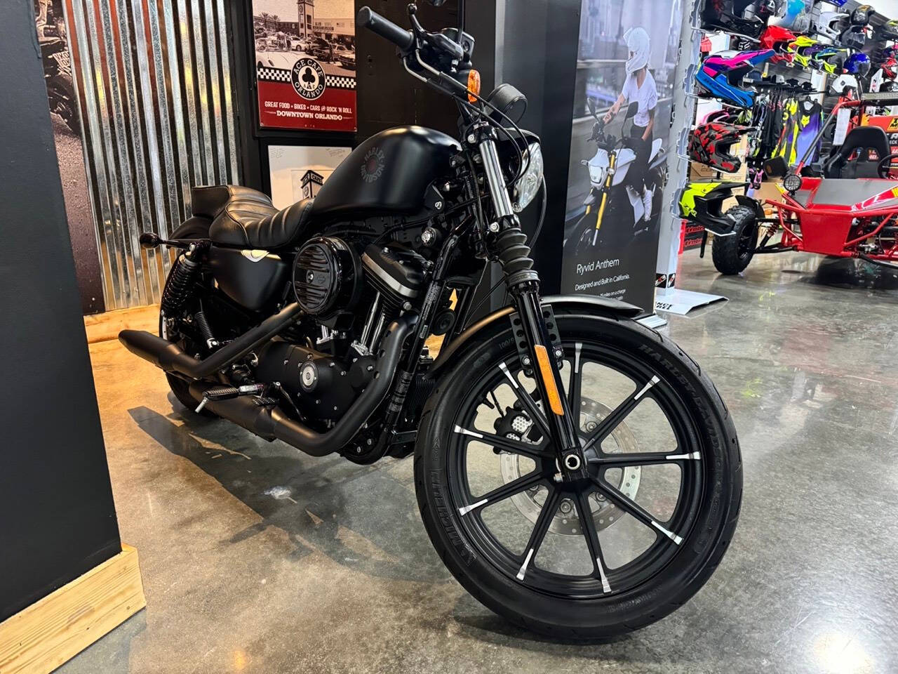 2022 Harley-Davidson XL 883 Sportster for sale at TEXAS MOTORS POWERSPORT in ORLANDO, FL