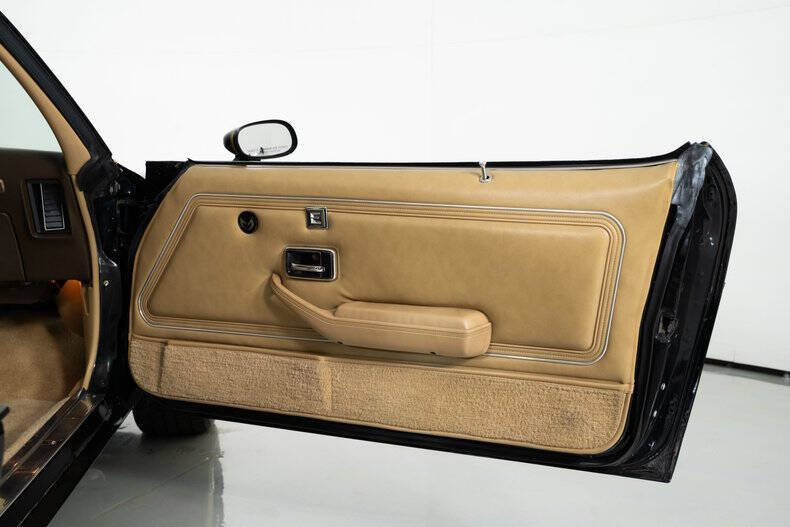 1981 Pontiac Trans Am