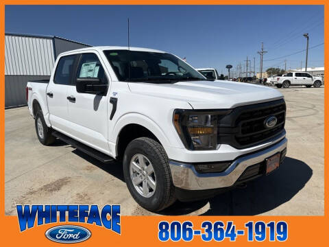 2023 Ford F-150 for sale at Whiteface Ford in Hereford TX