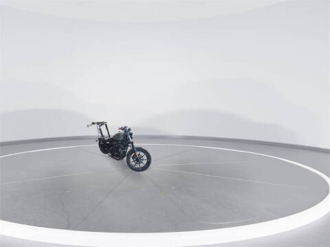 2007 Harley-Davidson n/a