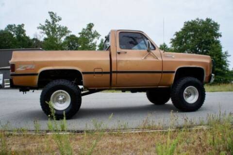 1979 Chevrolet C/K 10 Series for sale at Classic Car Deals in Cadillac MI