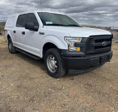 2017 Ford F-150 for sale at 4X4 Auto Sales in Cortez CO