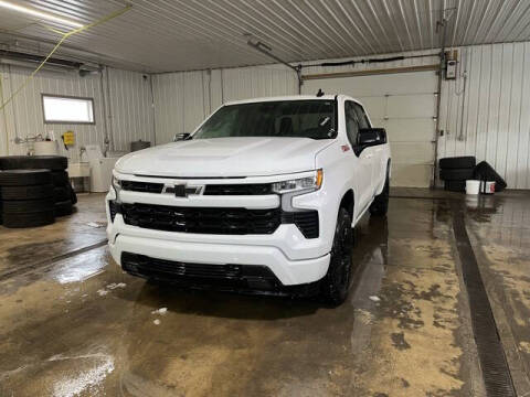 2024 Chevrolet Silverado 1500 for sale at Monster Motors in Michigan Center MI