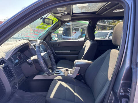 2011 Ford Escape XLT