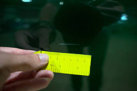 1966 GMC Series 1000