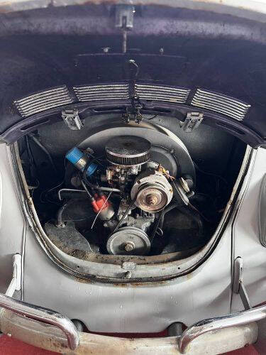 1969 Volkswagen Beetle