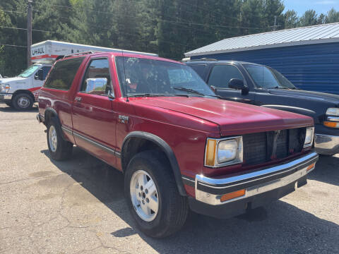 1986 Chevrolet S-10 Blazer for sale at CARS R US in Sebewaing MI