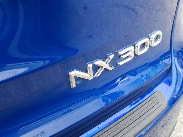 2020 Lexus NX 300 F SPORT