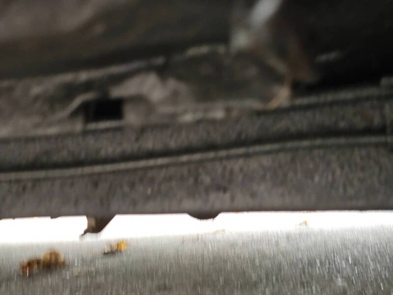 1968 Pontiac Firebird