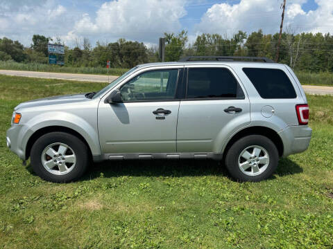 2009 Ford Escape XLT