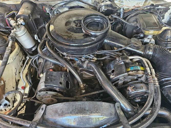 1984 Pontiac Firebird