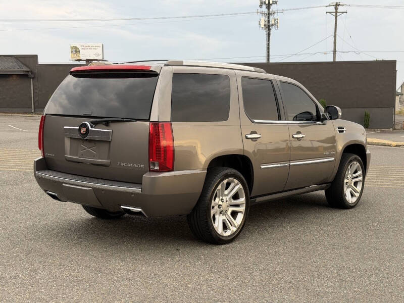 2013 Cadillac Escalade Platinum Edition