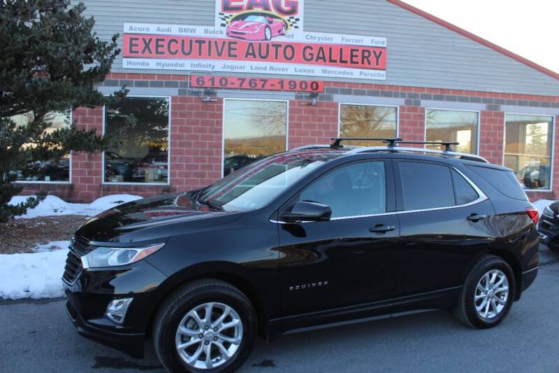 2020 Chevrolet Equinox for sale at EXECUTIVE AUTO GALLERY INC in Walnutport PA