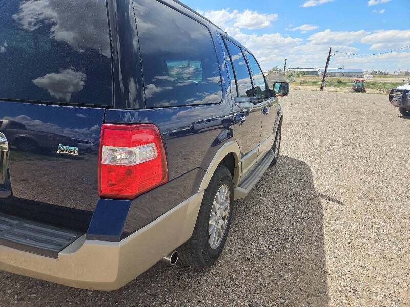 2010 Ford Expedition Eddie Bauer