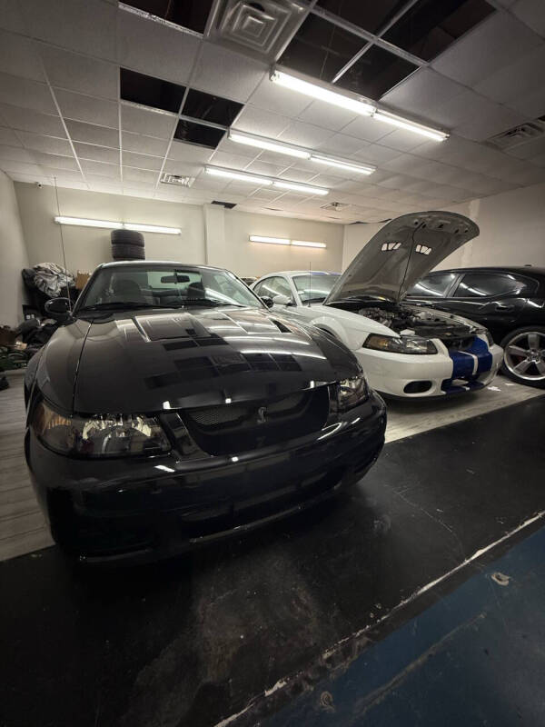 2003 Ford Mustang SVT Cobra