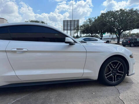 2019 Ford Mustang