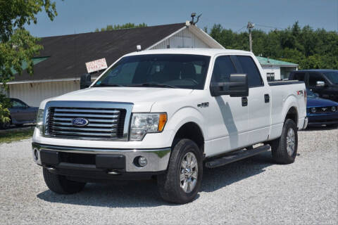2010 Ford F-150 for sale at Low Cost Cars in Circleville OH