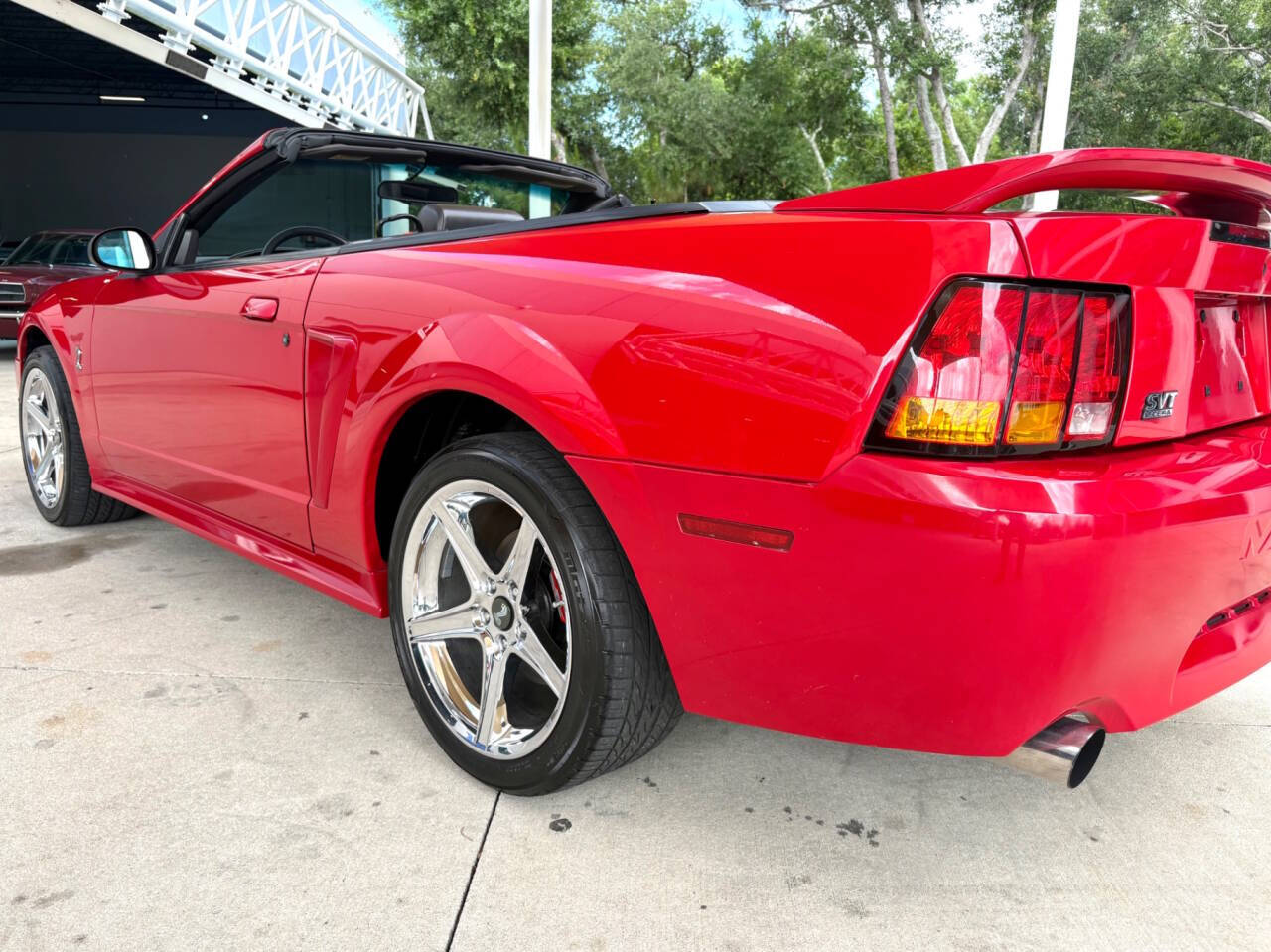 1999 Ford Mustang SVT Cobra 15