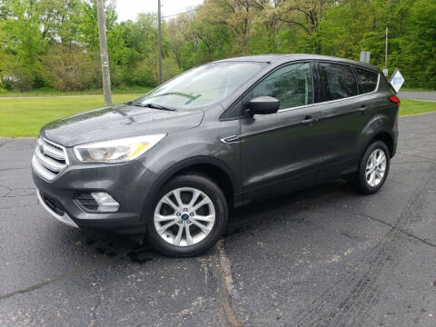 2019 Ford Escape for sale at Depue Auto Sales Inc in Paw Paw MI