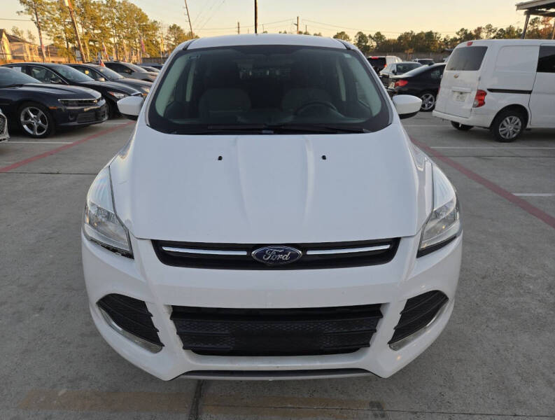 2013 Ford Escape SE photo 4