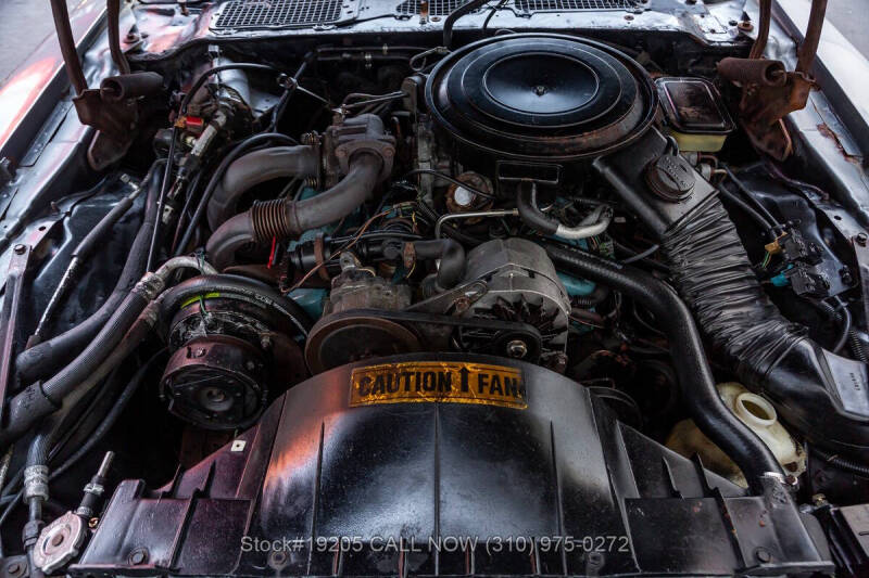 1981 Pontiac Firebird Trans Am SE Turbo