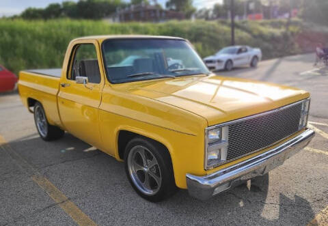 1982 Chevrolet C/K 10 Series for sale at Classic Car Deals in Cadillac MI