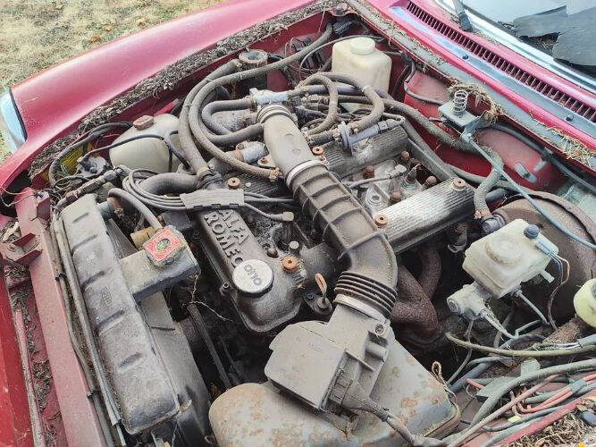 1989 Alfa Romeo Spider