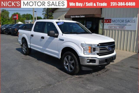 2019 Ford F-150 for sale at Nick's Motor Sales in Kalkaska MI