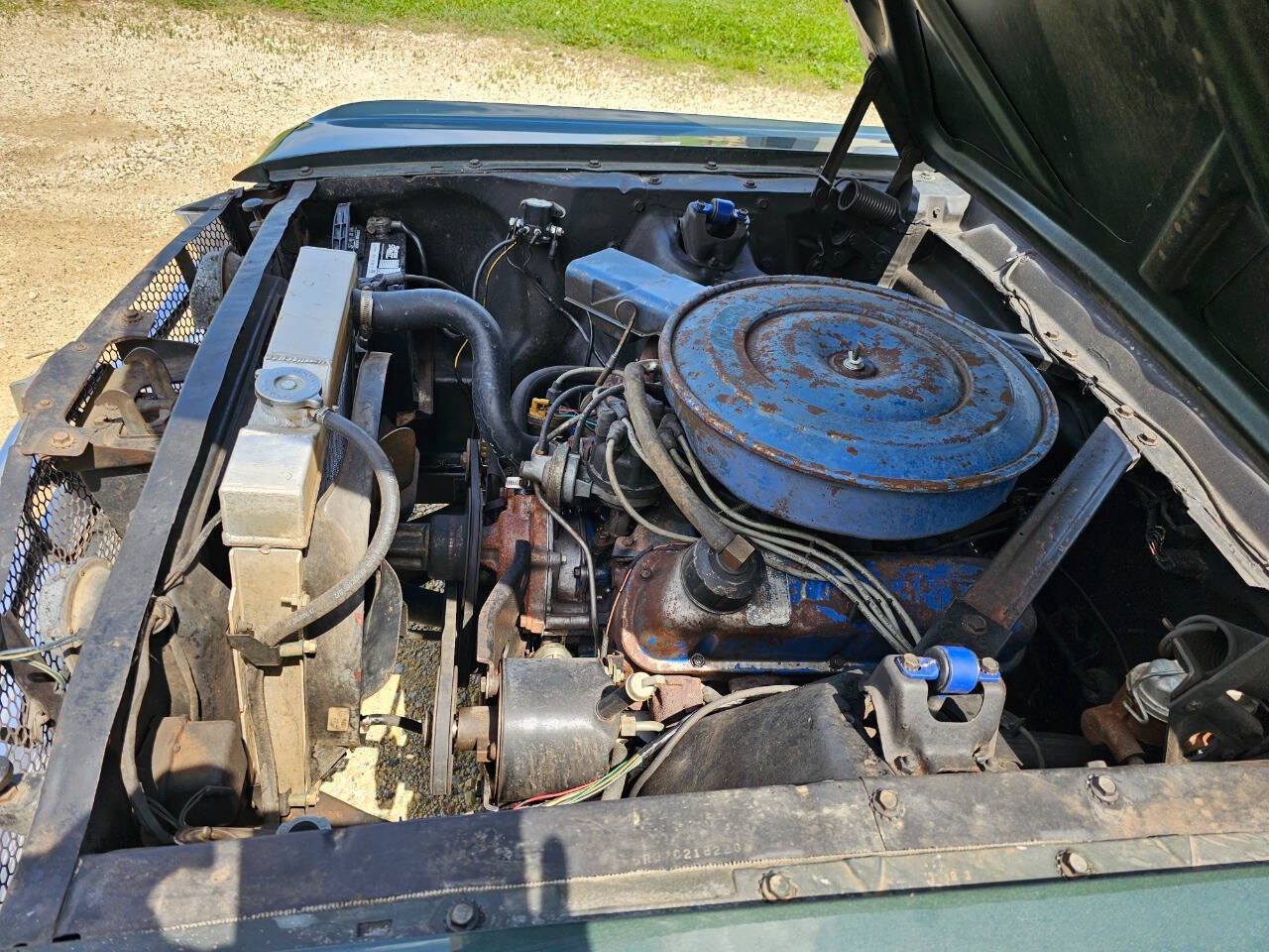1965 Ford Mustang 171