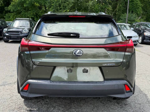 2021 Lexus UX 250h
