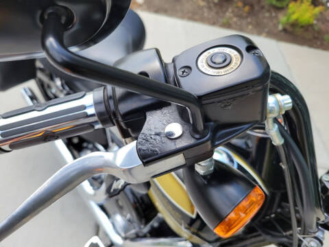 2009 Harley-Davidson FLSTSB - Cross Bones™