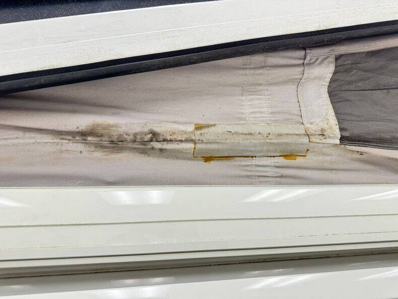 1995 Volkswagen EuroVan Campmobile