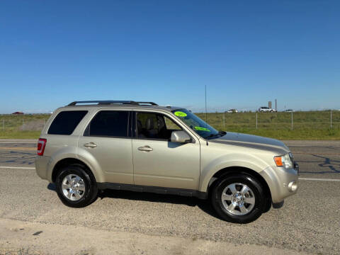 2011 Ford Escape Limited