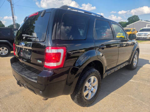 2010 Ford Escape Limited